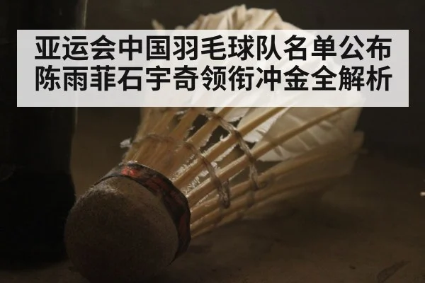 亚运会中国羽毛球队名单公布 陈雨菲石宇奇领衔冲金全解析